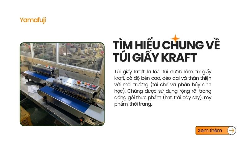 Tìm hiểu chung về túi giấy Kraft