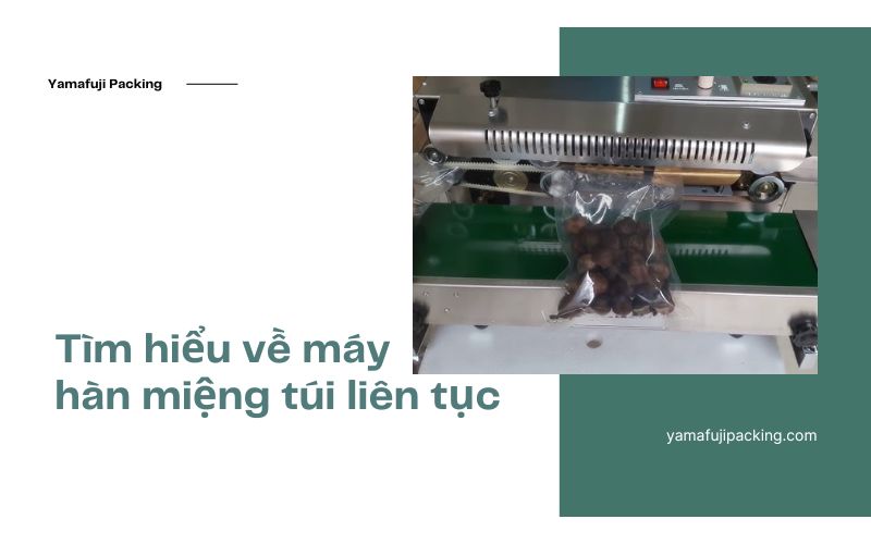 Tìm hiểu về máy hàn miệng túi liên tục