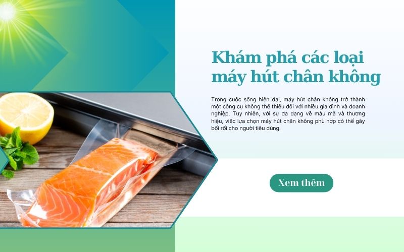 Khám phá các loại máy hút chân không phổ biến trên thị trường