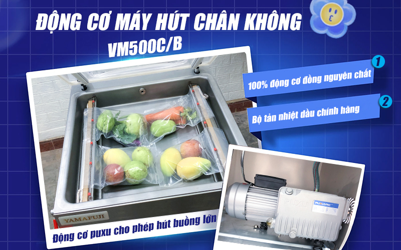Máy ép chân không công nghiệp Yamafuji VM500CB