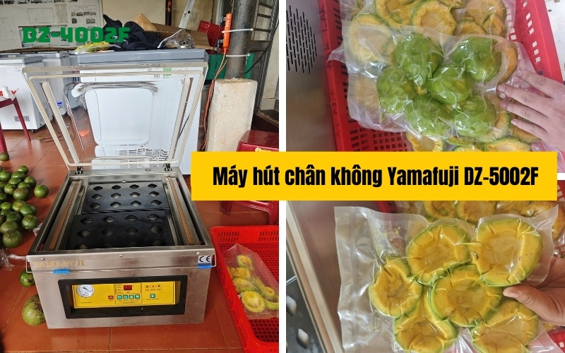 Máy hút chân không công nghiệp Yamafuji DZ-5002F