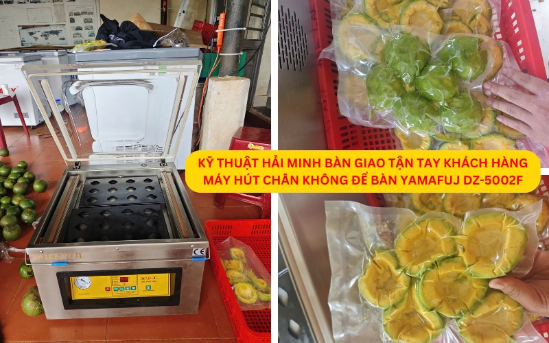 Máy hút chân không để bàn Yamafuji DZ-5002F