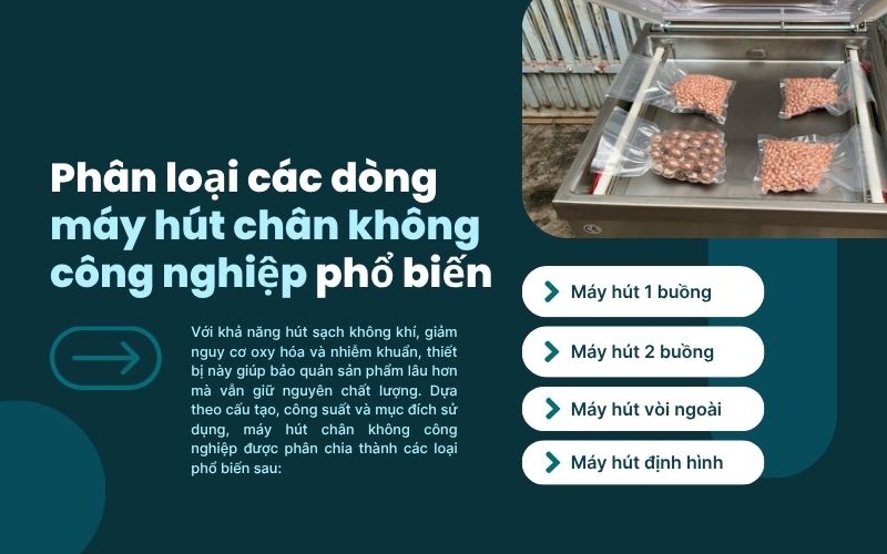 Phân loại các dòng máy hút chân không công nghiệp phổ biến 