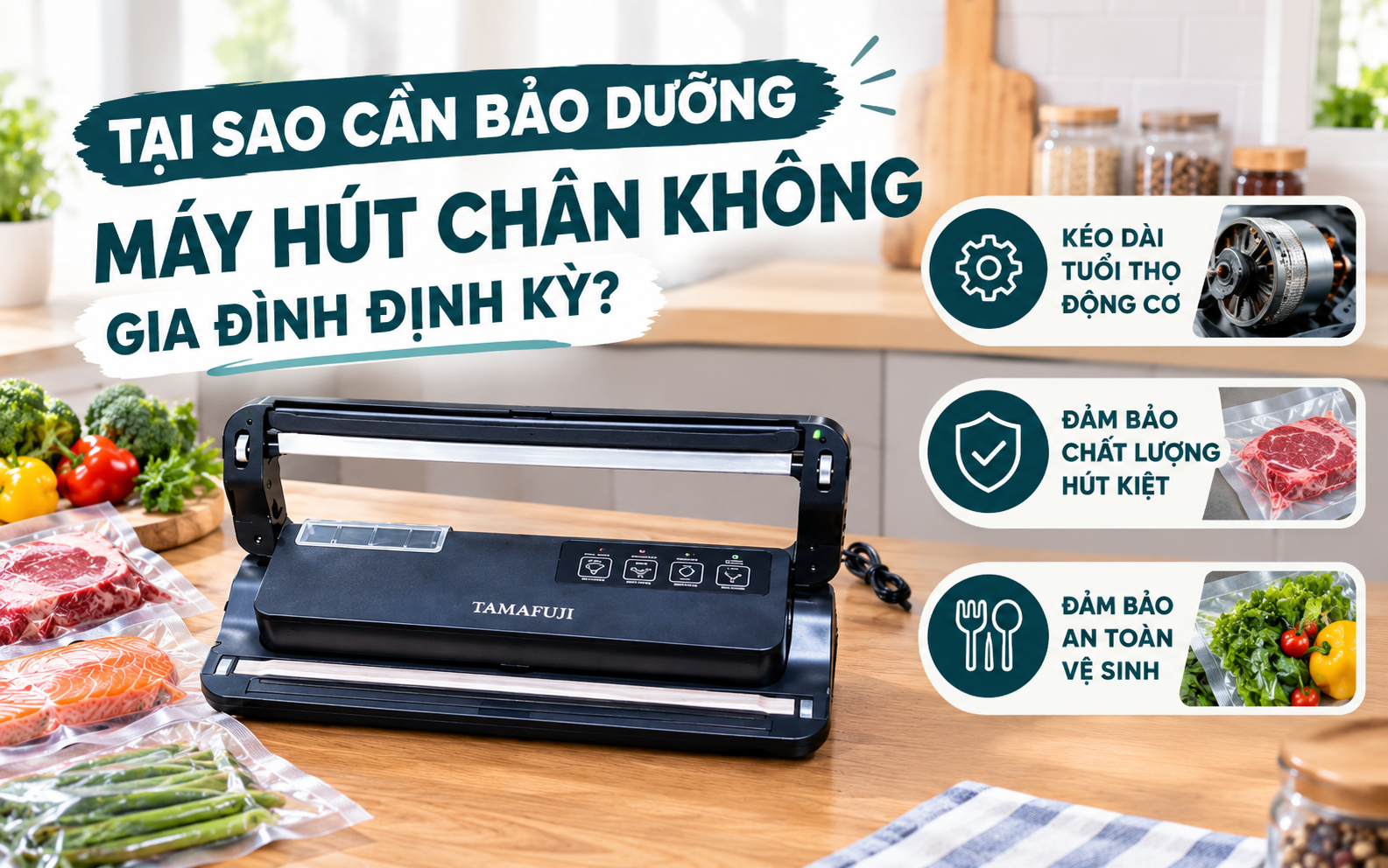 Tại sao cần bảo dưỡng máy hút chân không gia đình định kỳ?