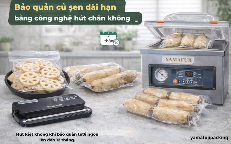 Bảo quản củ sen dài hạn bằng công nghệ hút chân không