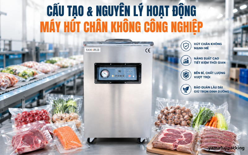 Cấu tạo và nguyên lý hoạt động máy hút chân không công nghiệp