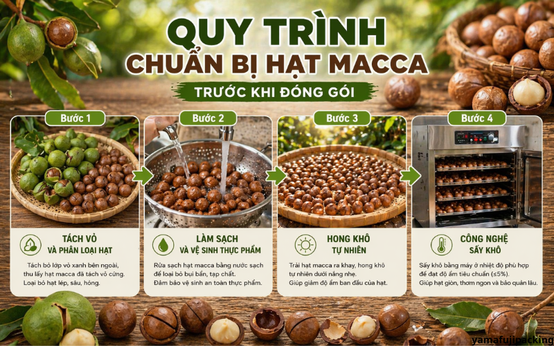 Quy trình chuẩn bị hạt macca trước khi đóng gói