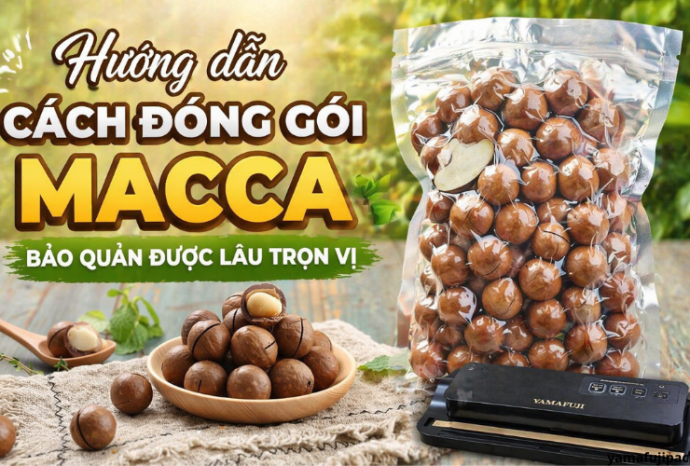 Hướng dẫn cách đóng gói macca bảo quản được lâu trọn vị