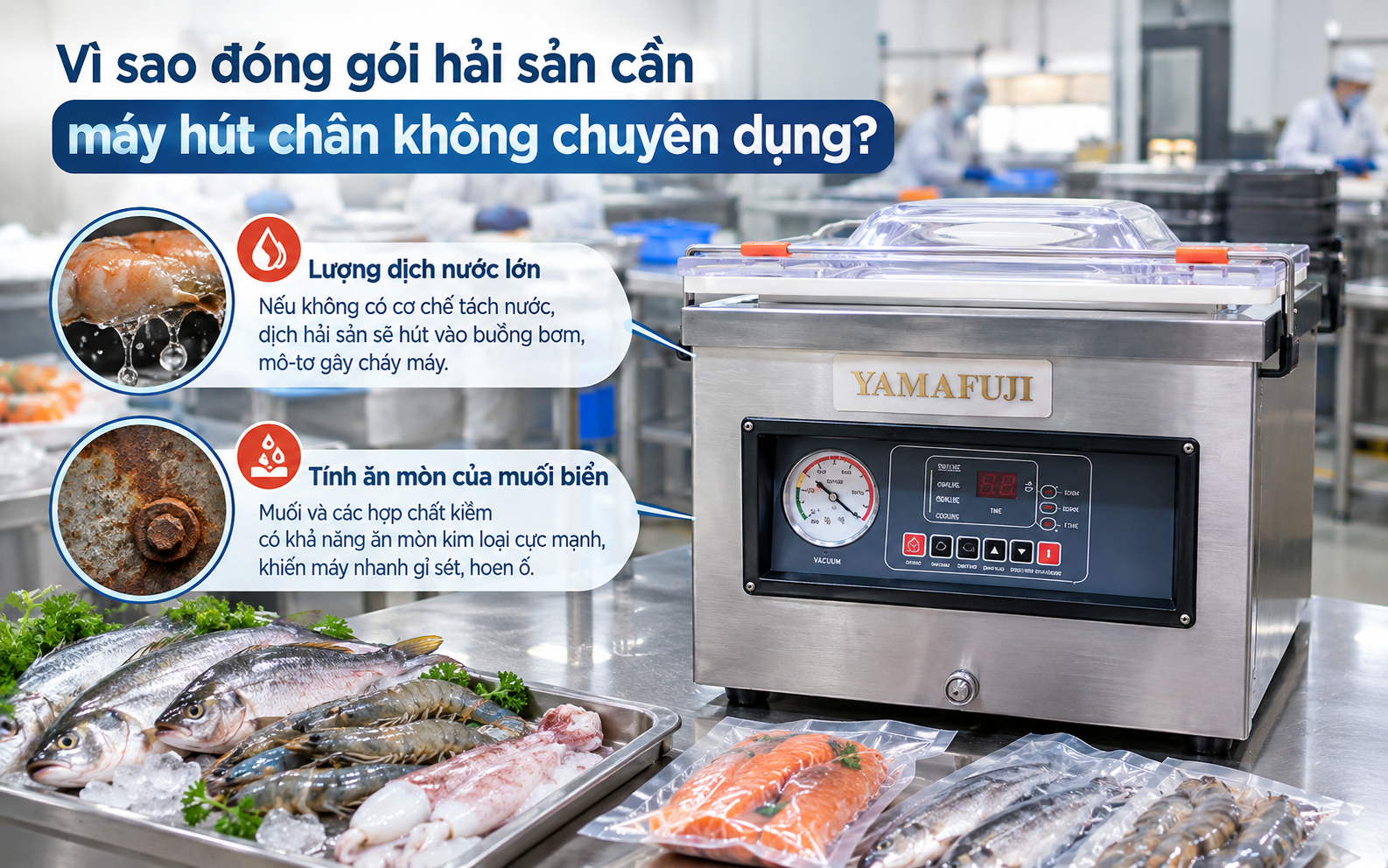 Vì sao đóng gói hải sản cần máy hút chân không chuyên dụng?