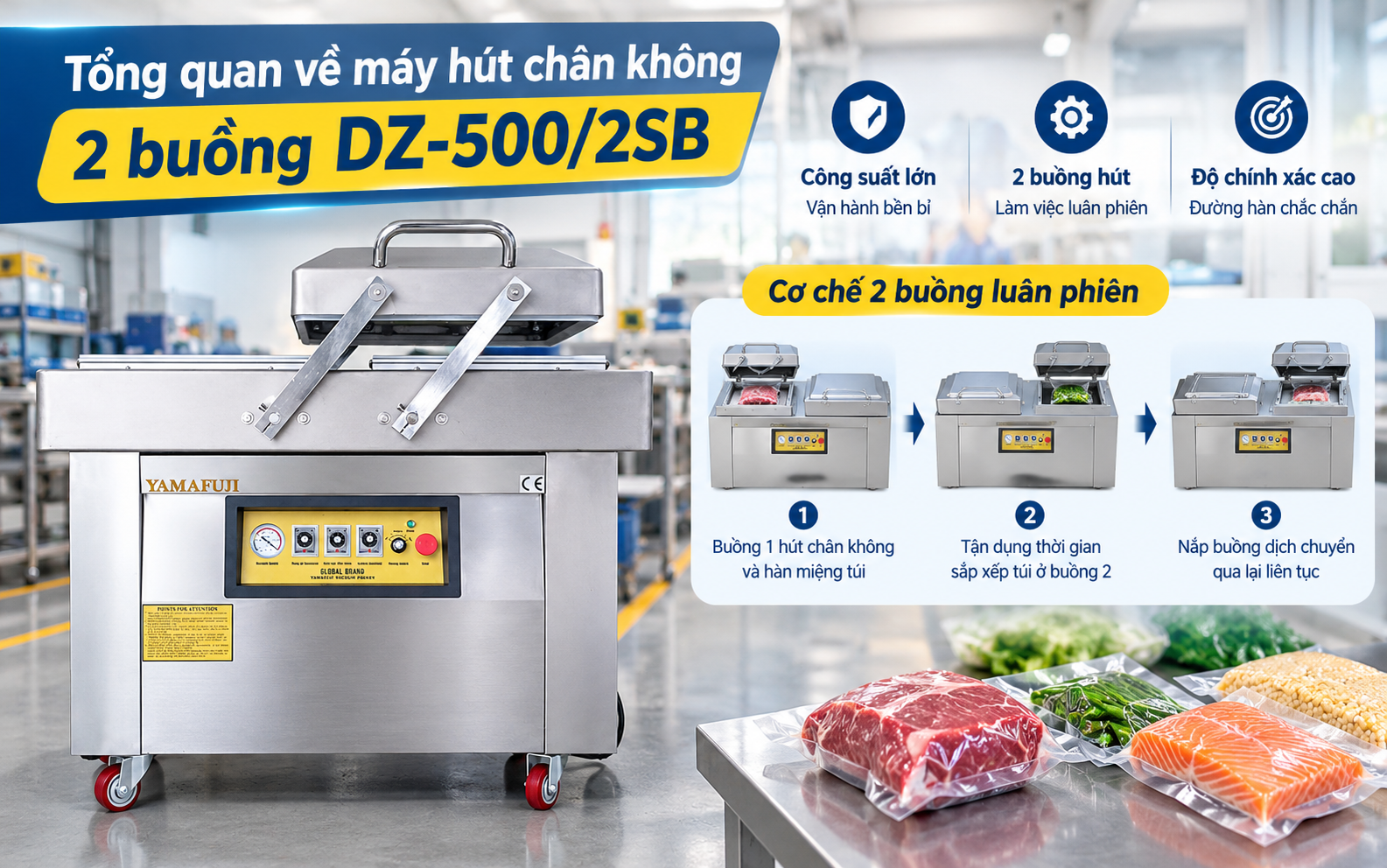 Tổng quan về máy hút chân không 2 buồng DZ-500/2SB