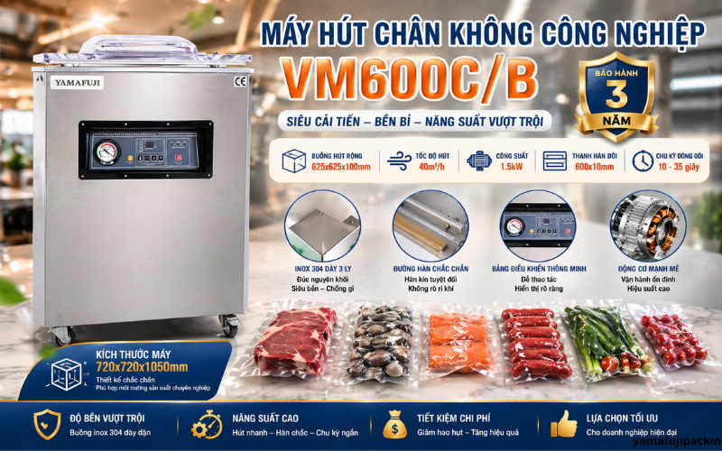 Máy hút chân không công nghiệp VM600C/B