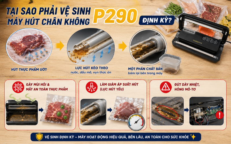Tại sao phải vệ sinh máy hút chân không P290 định kỳ?