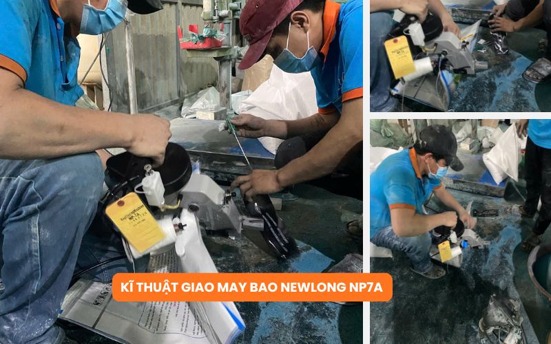 Kĩ thuật giao may bao newlong np7a